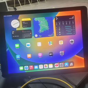 아이패드 프로 12.9 2세대 256 팝니다