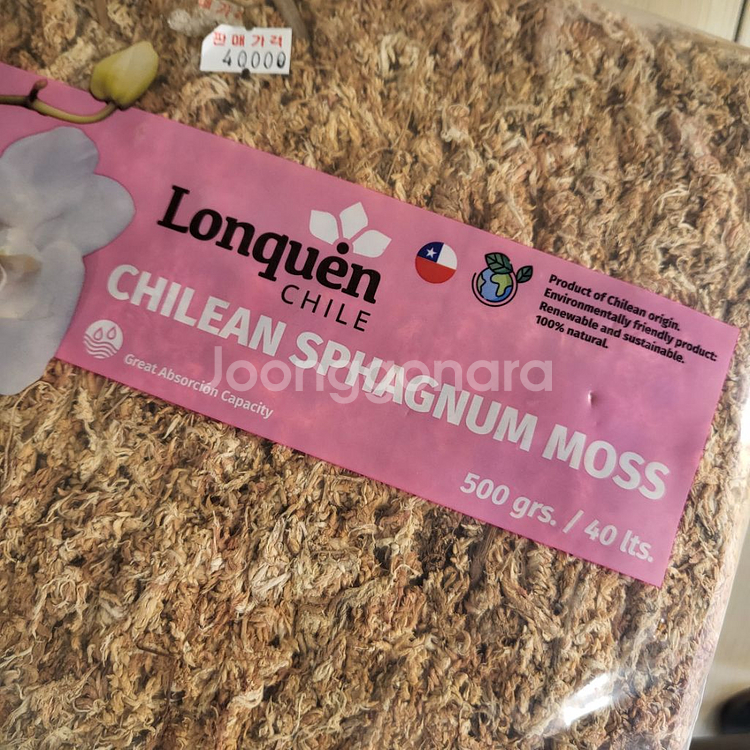 칠레산 고급 수태 500g--2