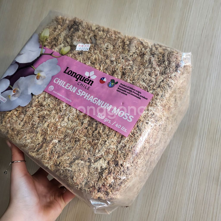 칠레산 고급 수태 500g--1