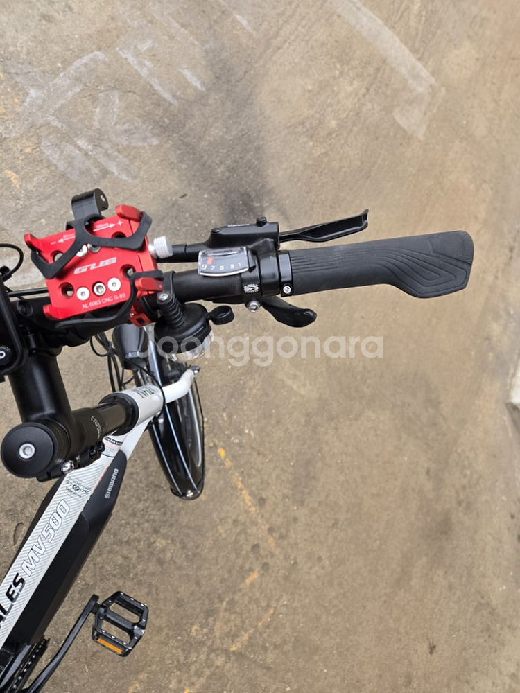 인피자 탈레스 MV 500 PAS 전용 전기자전거--3