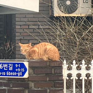 미키 17 상영관 상관 없이 싸게 예매 구해요