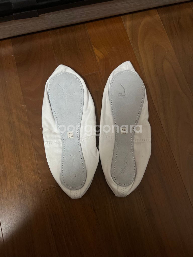 250 코슈즈 한국무용--2