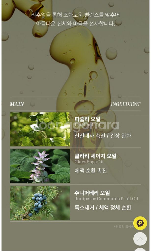 르프로우 림톡스--7