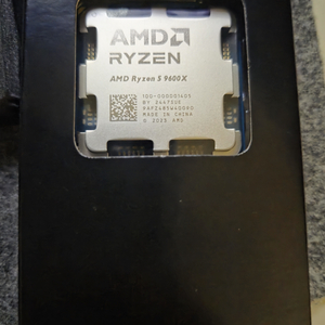 AMD RYZEN 5 9600X