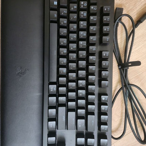 레이저 헌츠맨 v2 리니어 tkl