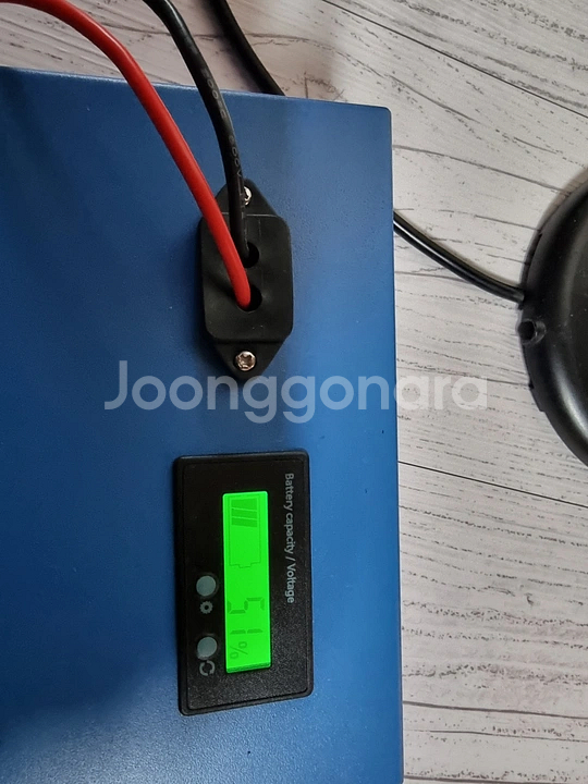 전기 스쿠터 필립스 칠리--3