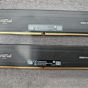 Crucial DDR5-5600 CL46 Pro