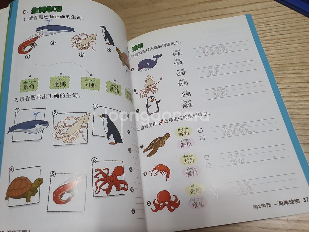 애프터스쿨 씨랜드 중국어 영어--6