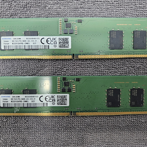 삼성전자 DDR5-5600 (8GB) x 2