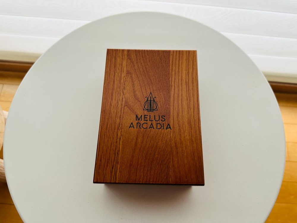 비져너리 오리진 플래그십 이어폰 한정판--1