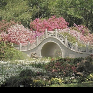 나의히어로아카데미아 데쿠캇 스푸키 영앤뷰티풀 책 구합니