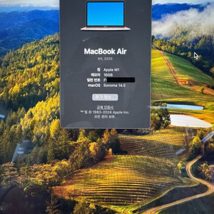 Macbook Air M1 256gb 16gb
