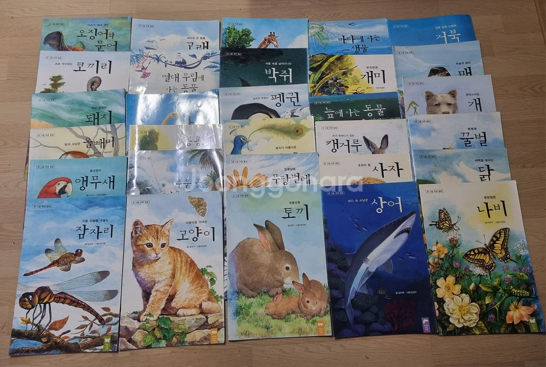 한국듀이 큰그림 자연동화 30권--0