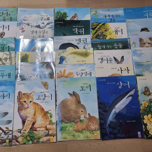 한국듀이 큰그림 자연동화 30권