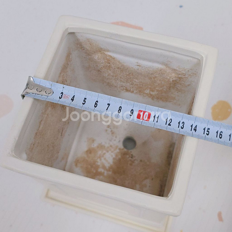 사각 웨인스코팅 정사각 화분 17x20cm--1