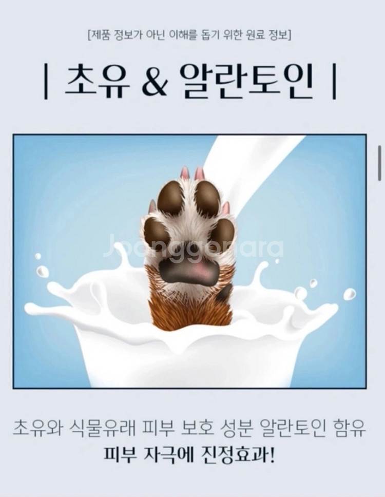 강아지 발세정제--7