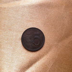 1966년 희귀동전 5원