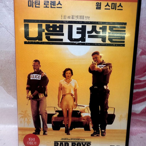DVD 나쁜녀석들