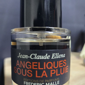 프레데릭말 앙젤리크 수라 쁠뤼