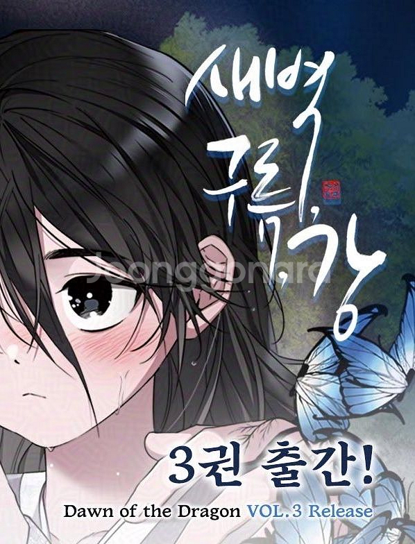 bl 단행본 책 새벽구름강 새구강 3권 판매--0