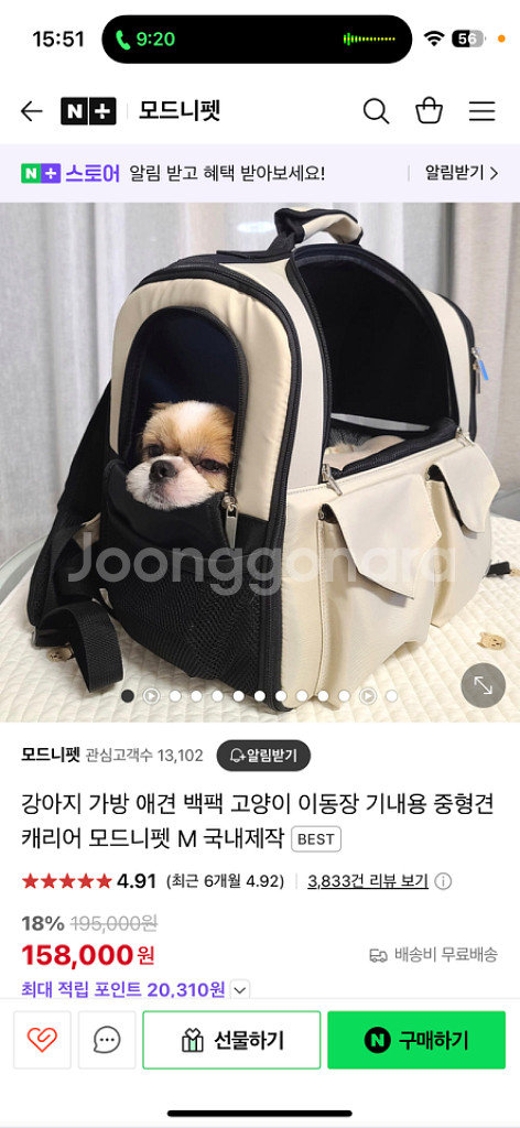 강아지 고양이 이동가방--0