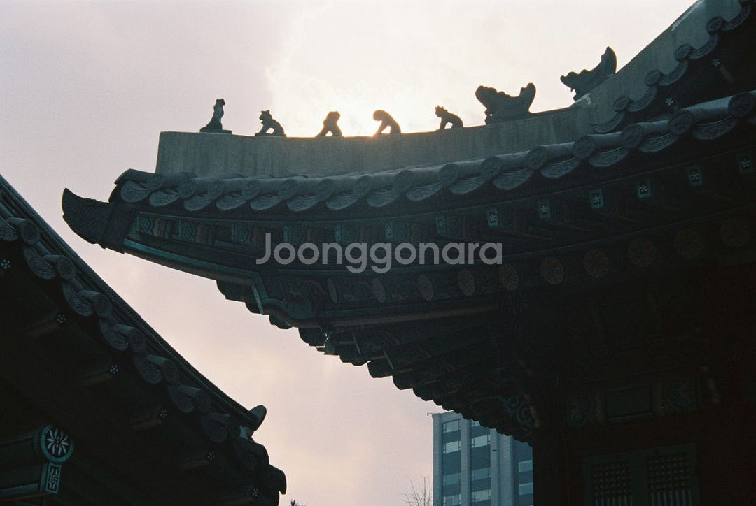 인더스타 10 렌즈 + m마운트 어댑터 팝니다.--8