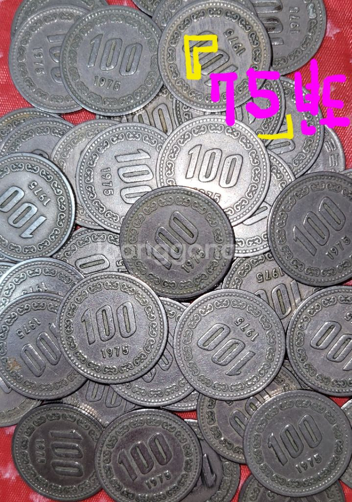 화폐 100원 동전 50개씩 옛날돈 한국은행--5