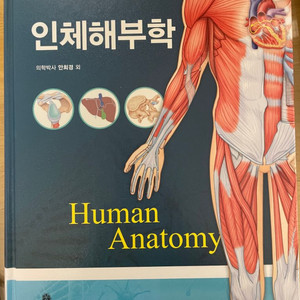 인체해부학 고문사