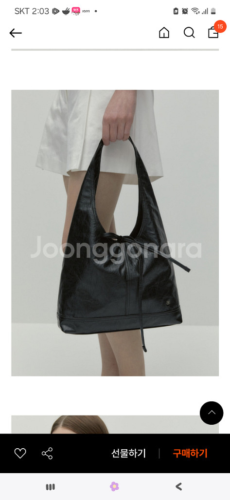 드파운드 피노백--0