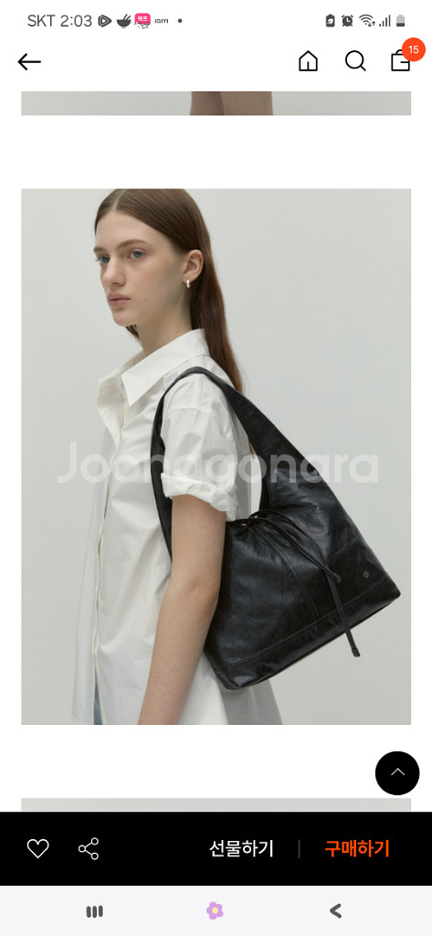 드파운드 피노백--1