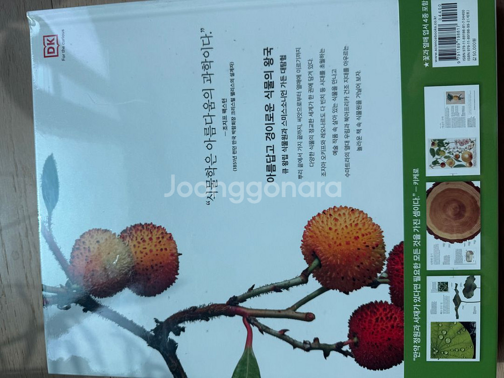 식물 대백과사전 플로라 미개봉 새제품큐왕립식물원 가든으--2