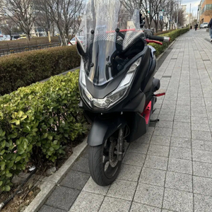 22년식 pcx 125 무사고 개인