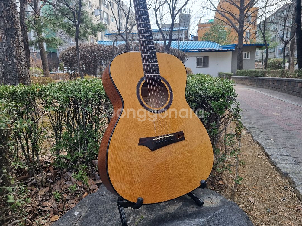 입문용 원목 기타 고퍼우드 탑솔리드 I210 통기타--1