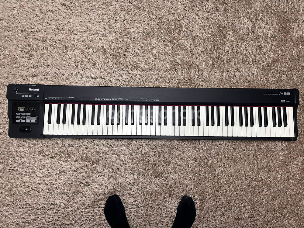 롤랜드a88--2