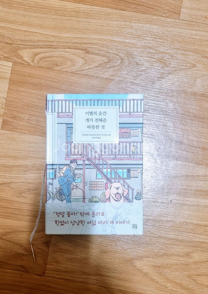 이별의 순간 개가 전해준 따뜻한 것--0