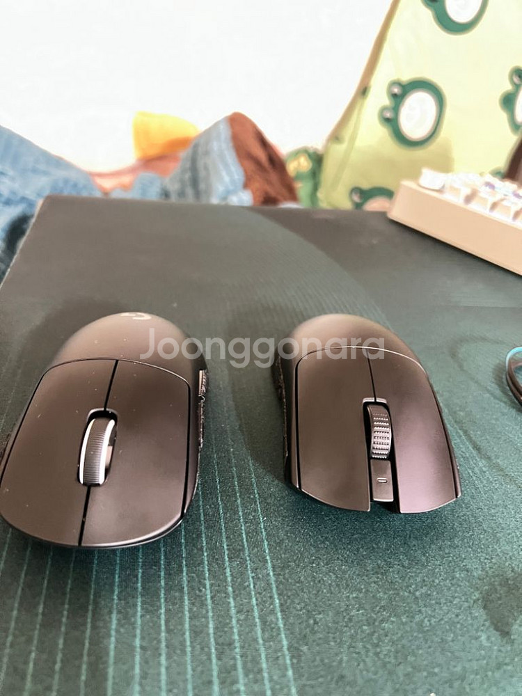 지슈라2--0