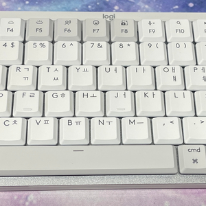 로지텍 MX MECHANICAL MINI for Mac