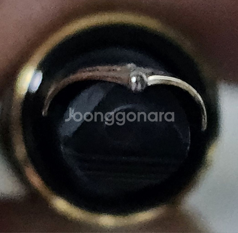 펠리칸 M400 브라운톨토이즈 F닙--5