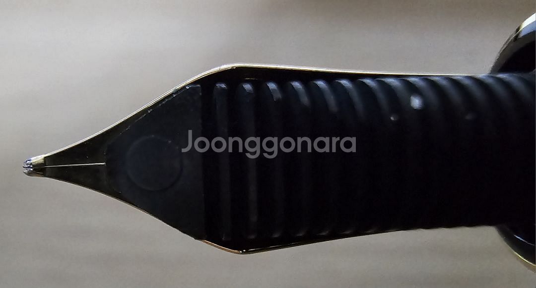 펠리칸 M400 브라운톨토이즈 F닙--4