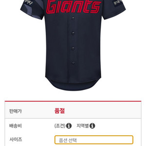 롯데자이언츠 원정 프로페셔널