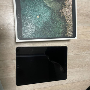 아이패드 프로 10.5 64gb