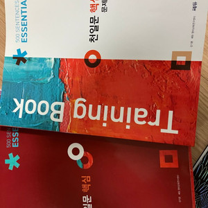 천일문 핵심