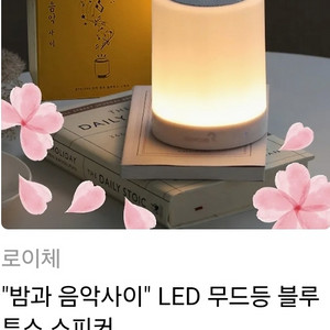 로이체 LED 무드등 블루투스 스피커