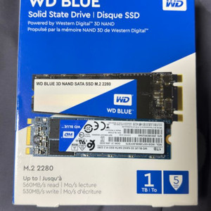 Wd Ssd 1tb sata m.2