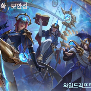 와일드리프트 SAU팀 ( 저렴한 가격 )
