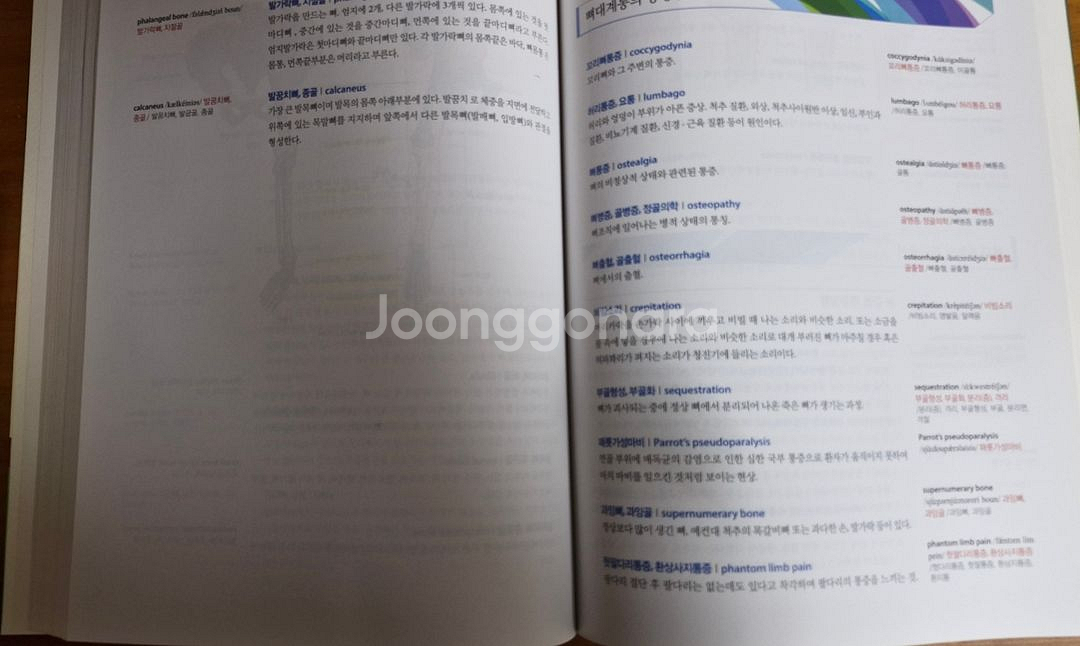 의학용어 전공서적 제3판--1