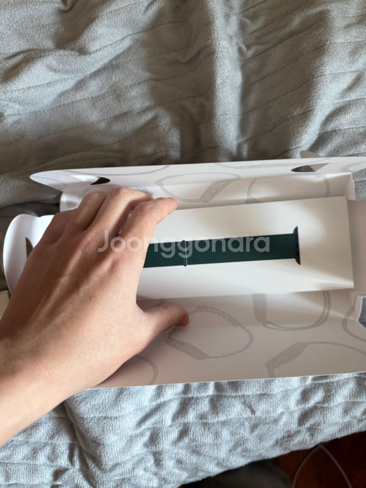 애플워치10 46mm 셀룰러 내추럴 티타늄 풀박 팝니다--4