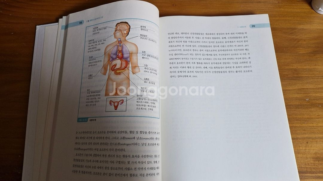 학지사 인간행동과 심리학 4판--2