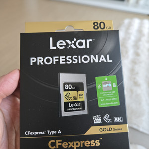 렉사 Professional CFexpress Type