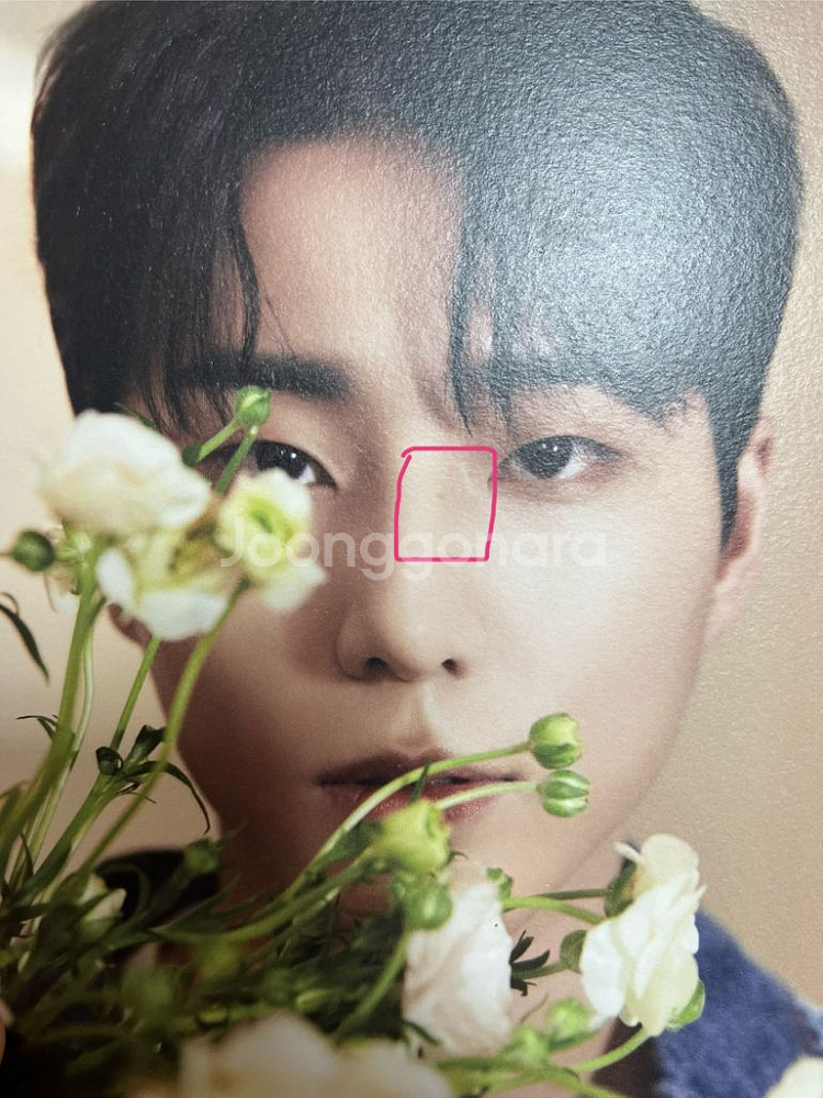 데이식스 포에버 앨범 구성품 포스터 엽서 밴드에이드--1